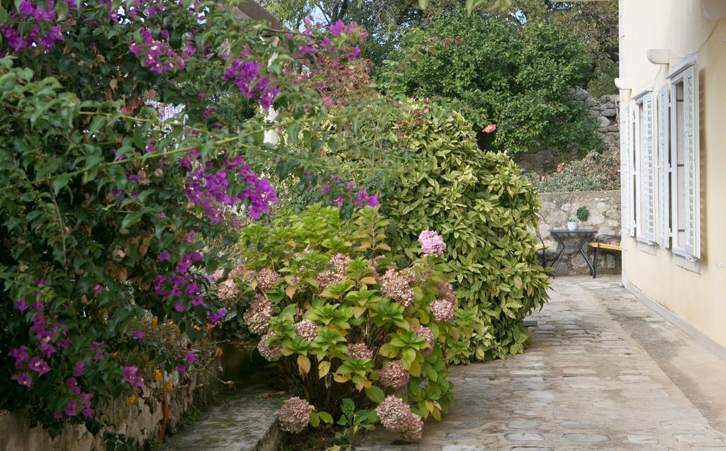 Villa Bona Dubrovnik Bagian luar foto