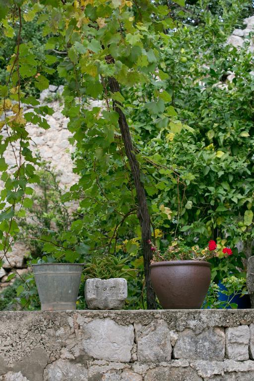 Villa Bona Dubrovnik Bagian luar foto